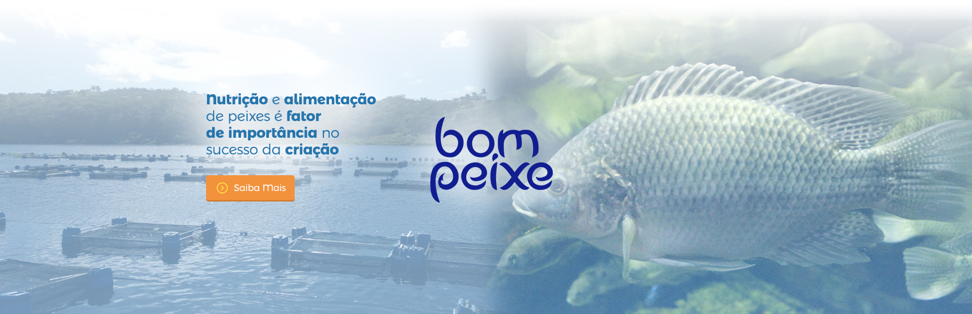 Banner Bom Peixe