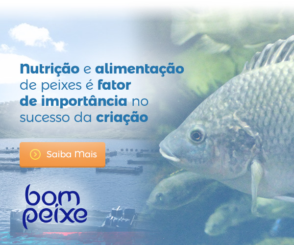 Banner Bom Peixe