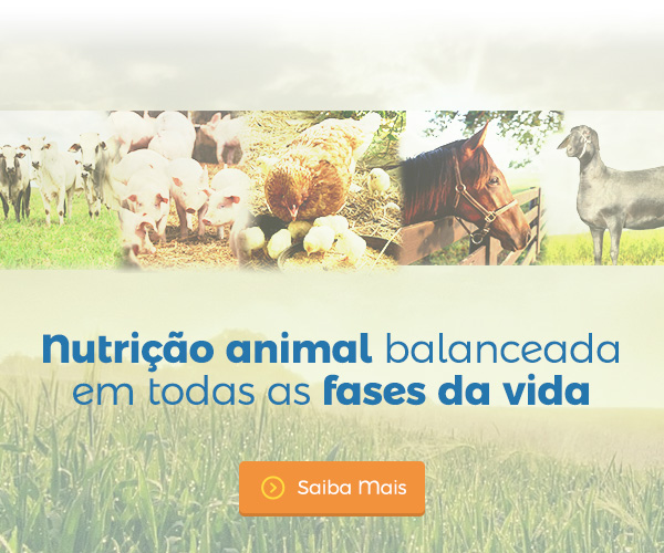 Banner Nutrição